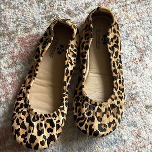 The Storehouse Flats Leopard